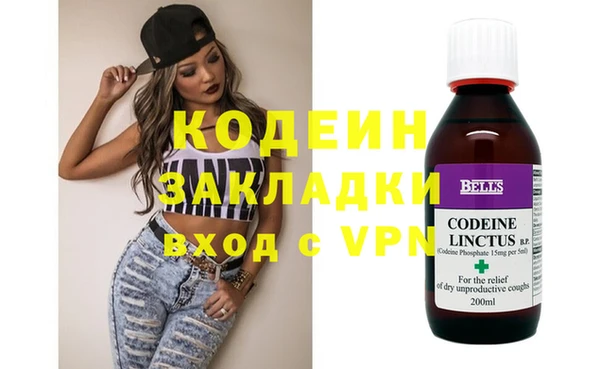 ПСИЛОЦИБИНОВЫЕ ГРИБЫ Инсар