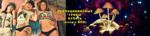 ПСИЛОЦИБИНОВЫЕ ГРИБЫ Инсар