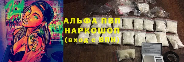 ПСИЛОЦИБИНОВЫЕ ГРИБЫ Инсар
